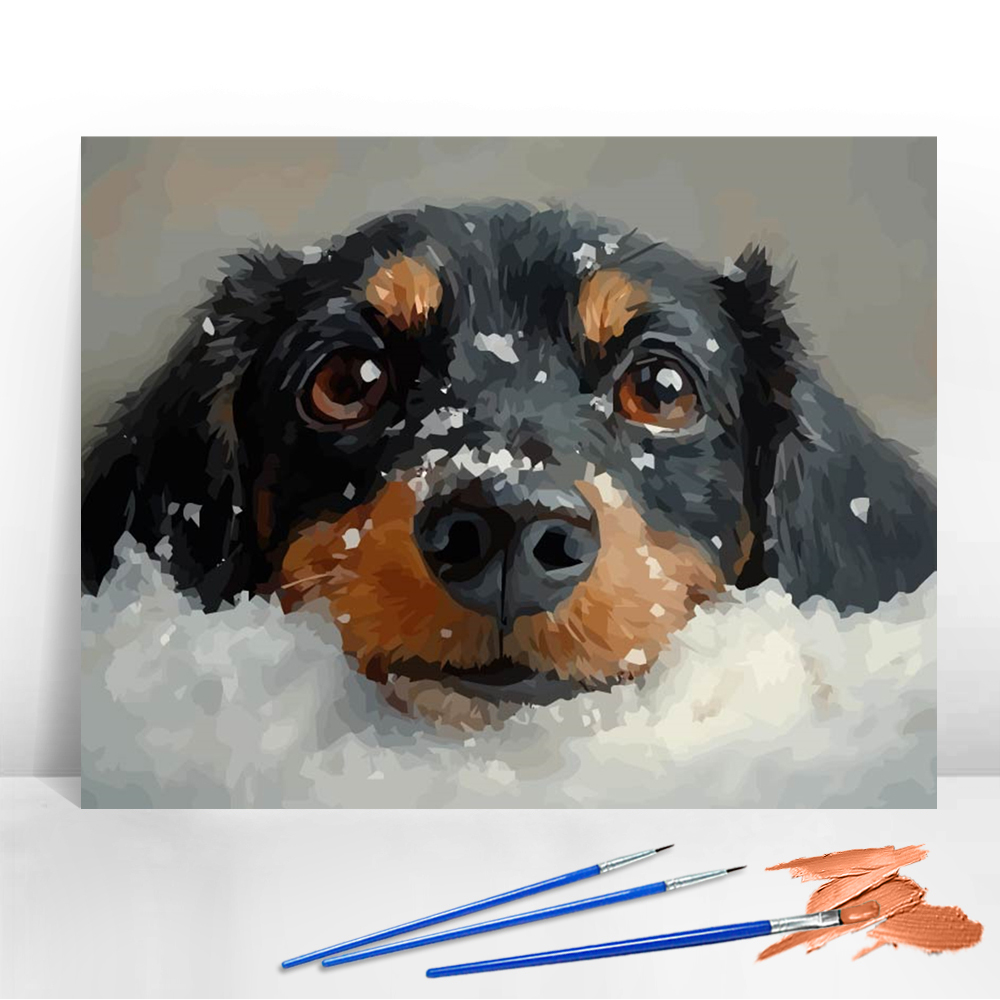 Art Craft Room - Acrylic Paint By Numbers Dog Animal
