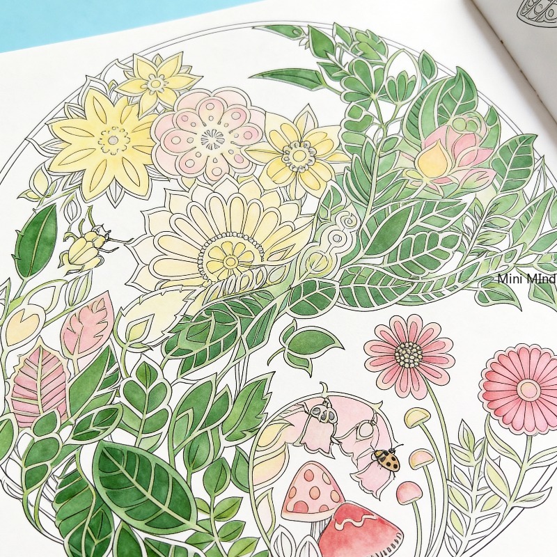 An Adult Decompression Colorin – обзор и цена Chinese Art Craft