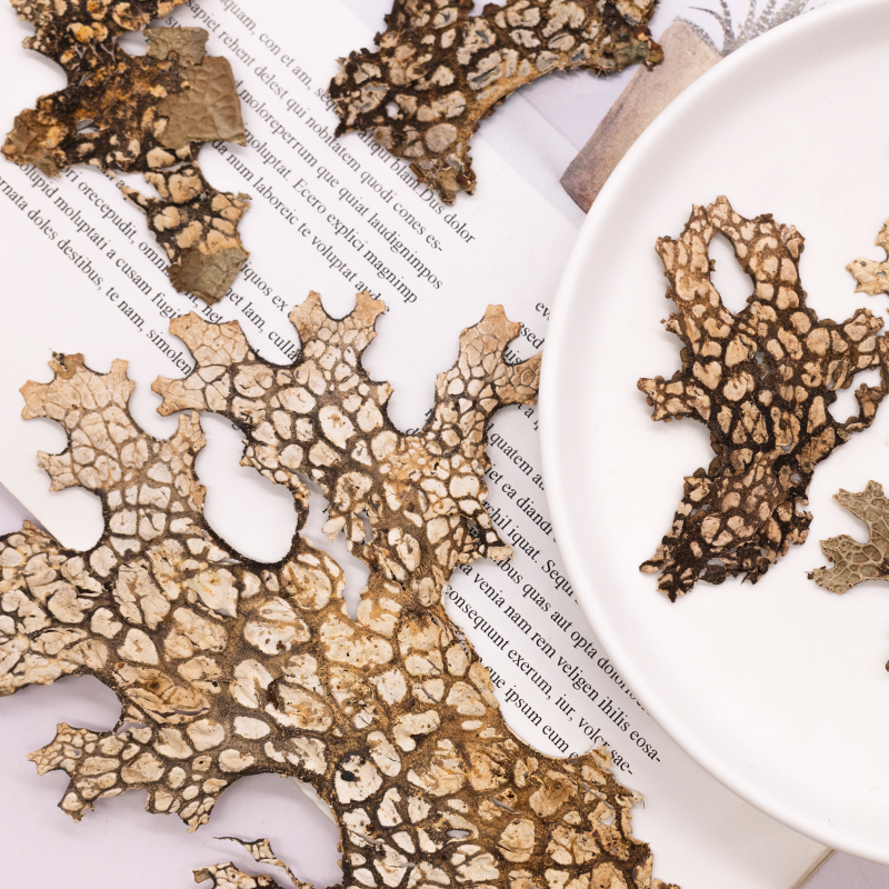 4pcs,Rare Bark Natural Pressed – обзор и цена Art Craft Flower Making
