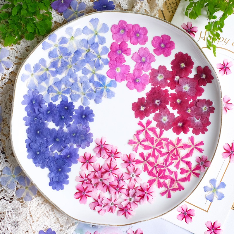 50pcs/1.5-2cm,Pressed Dried Ve – обзор и цена Art Craft 2 Year Olds