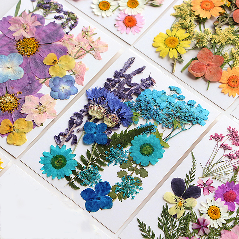 Dried Flowers Real Natural Pla – обзор и цена Art Craft 2 Year Olds