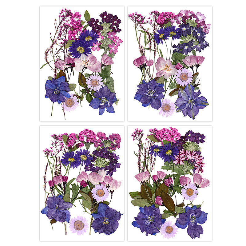 Dried Flowers Real Natural Pla – обзор и цена Art Craft 2 Year Olds