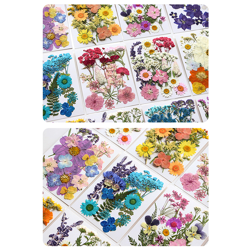 Dried Flowers Real Natural Pla – обзор и цена Art Craft 2 Year Olds