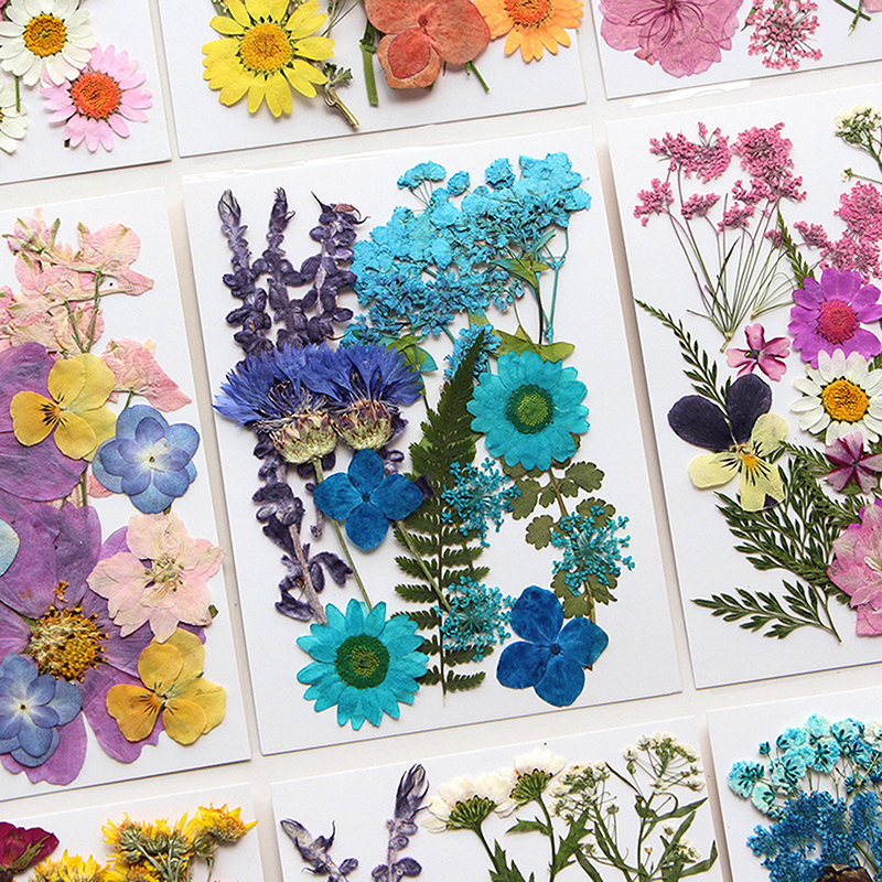 Dried Flowers Real Natural Pla – обзор и цена Art Craft 2 Year Olds