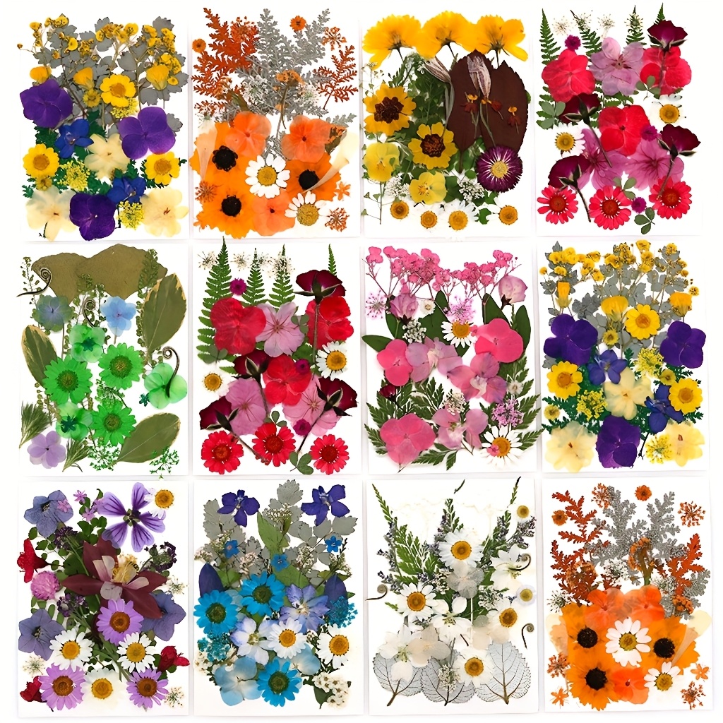 500pcs of Random Materials for – обзор и цена Art Craft Flower Making