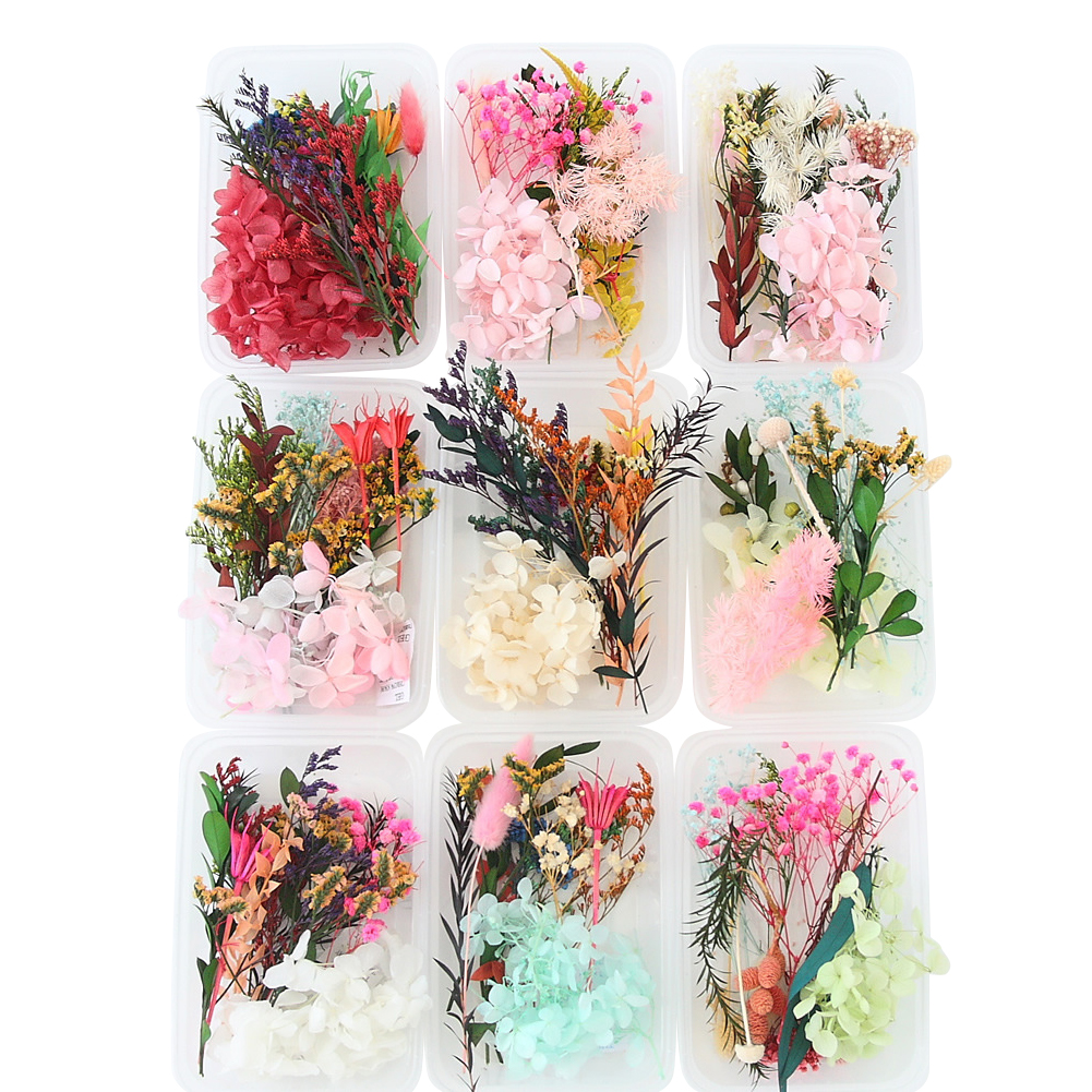 Real Dried Flowers Leaves Set  – обзор и цена Art Craft 2 Year Olds
