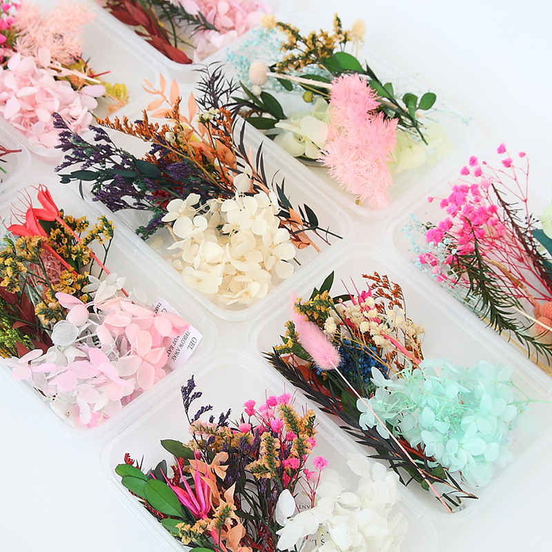 Real Dried Flowers Leaves Set  – обзор и цена Art Craft 2 Year Olds