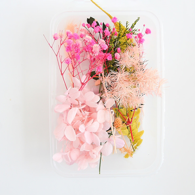 Real Dried Flowers Leaves Set  – обзор и цена Art Craft 2 Year Olds