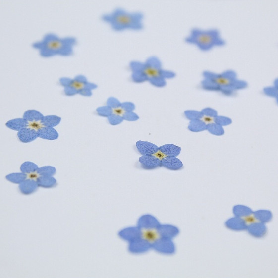 100pcs/0.5-1cm,Pressed mini fo – обзор и цена Art Craft 2 Year Olds