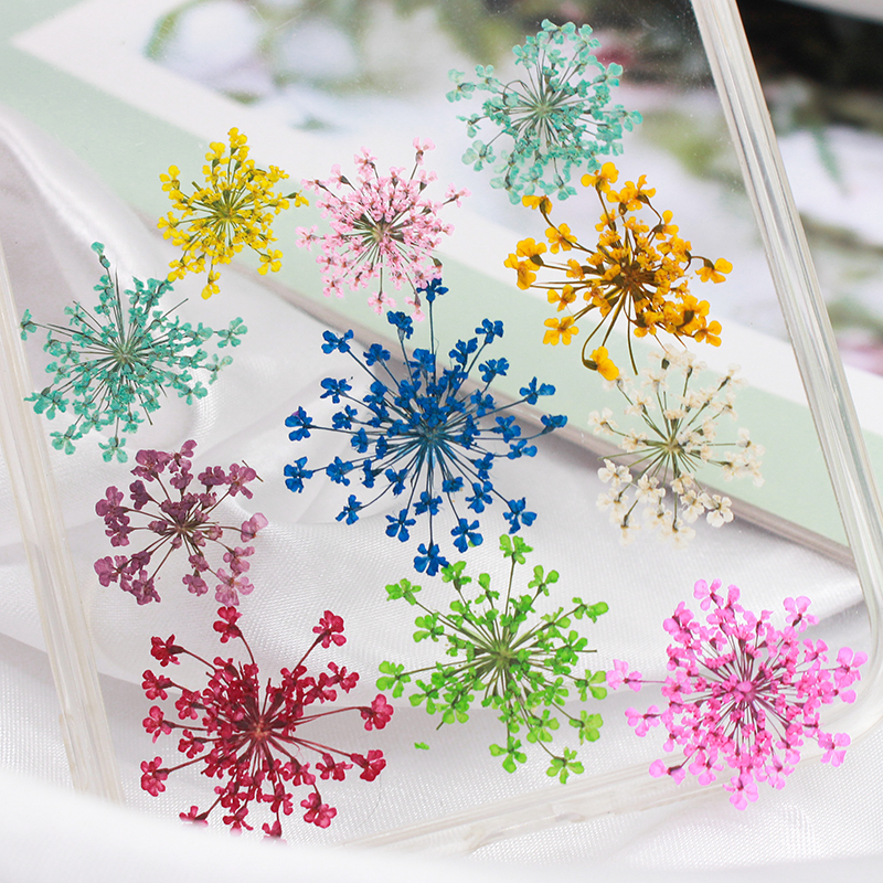 12pcs,Pressed Snow Pearl Lace  – обзор и цена Art Craft 2 Year Olds