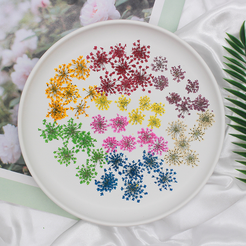 12pcs,Pressed Snow Pearl Lace  – обзор и цена Art Craft 2 Year Olds